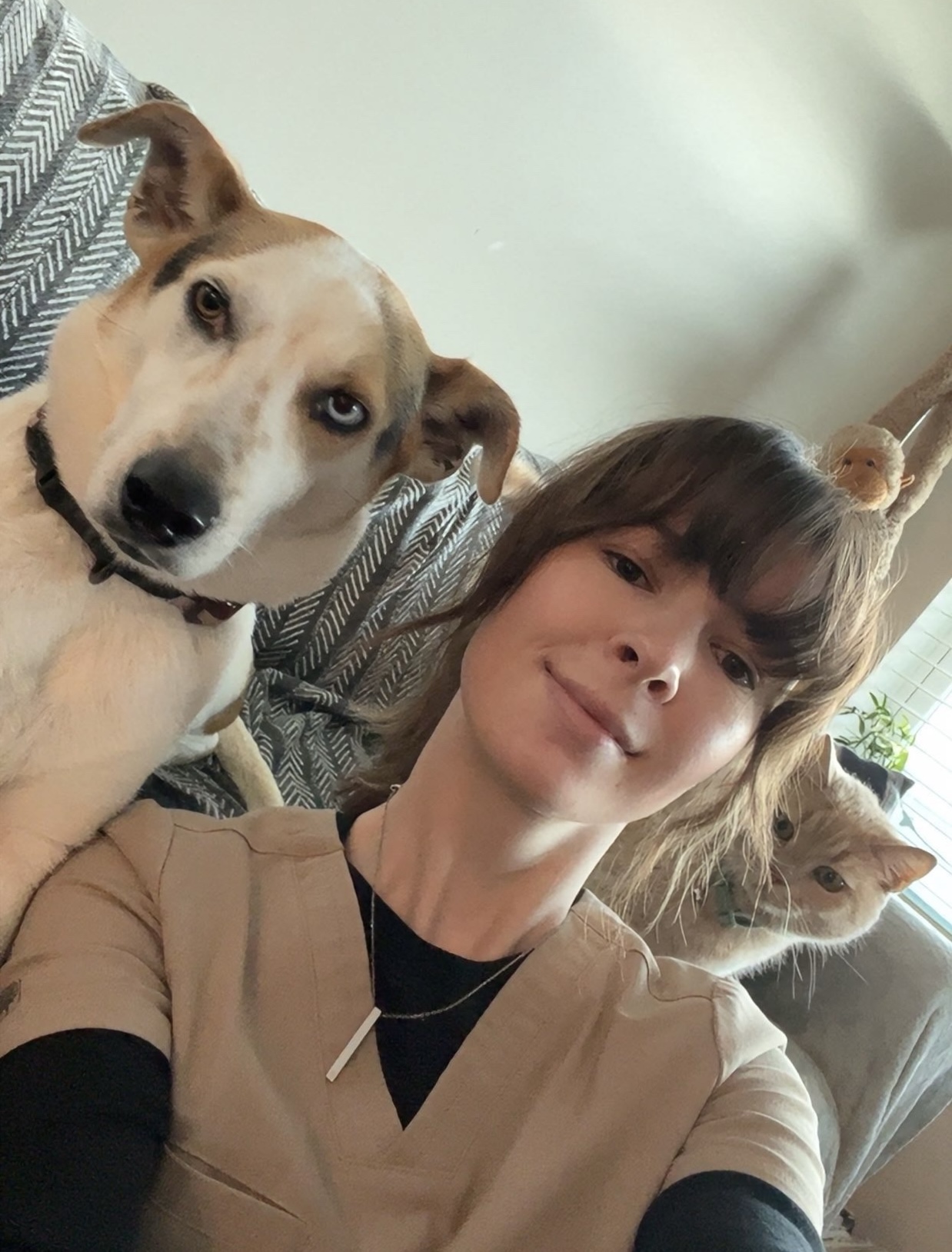 Kaitlin Vet Assistant
