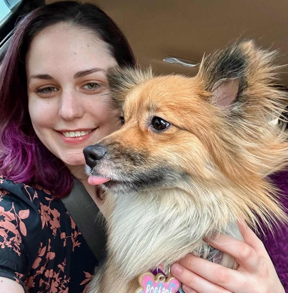 Meghan Lead Assistant and Groomer