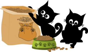 cat food image - June special