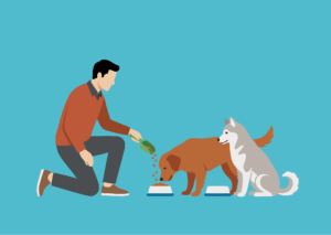 dog food image for June special