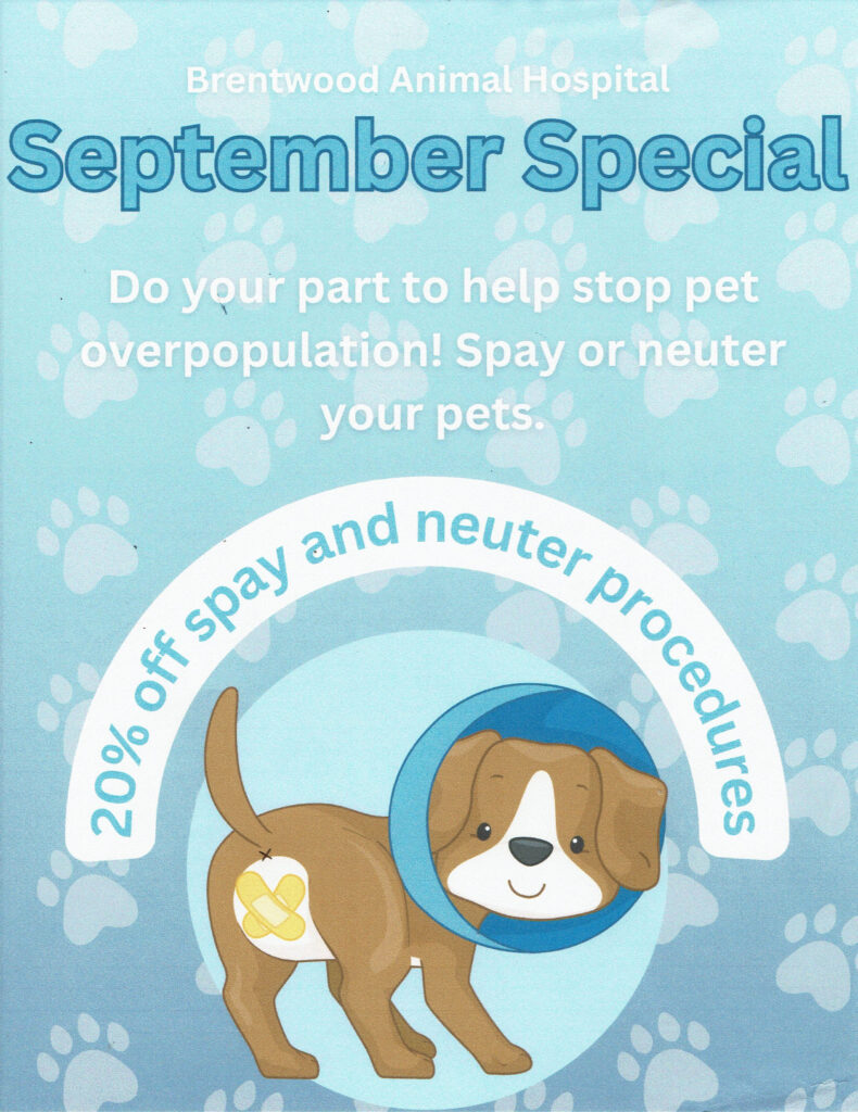 20% off Spay and Neuter Procedures