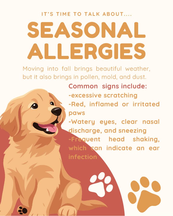 Brentwood Animal Hospital