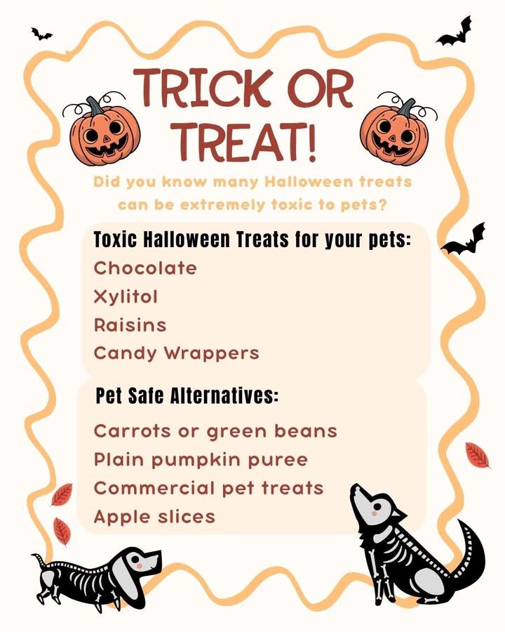 Brentwood Animal Hospital