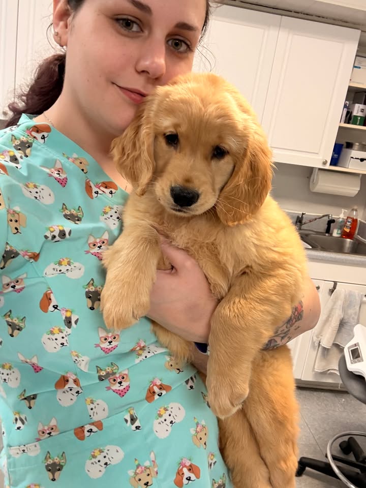 Brentwood Animal Hospital