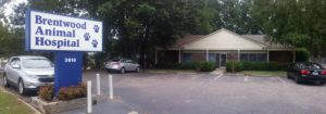 Brentwood Animal Hospital - Raleigh