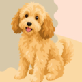 ear infection puppy