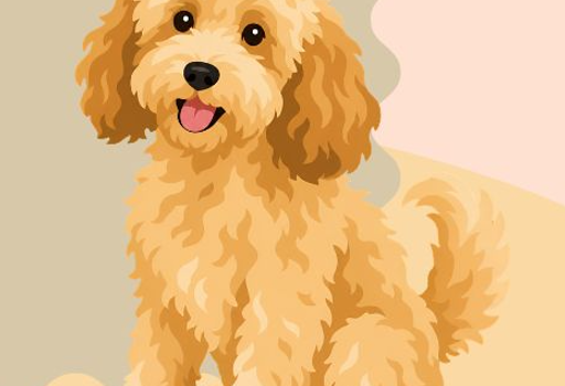 Ear Infections and Your Dog ear infection puppy