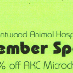 Discount on Microchipping