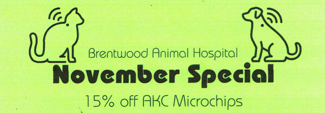 Discount on Microchipping